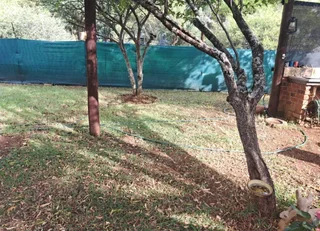 Cosy Log Cabin on a small holding