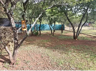 Cosy Log Cabin on a small holding