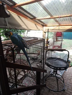 Cosy Log Cabin on a small holding