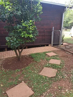 Cosy Log Cabin on a small holding