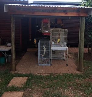 Cosy Log Cabin on a small holding