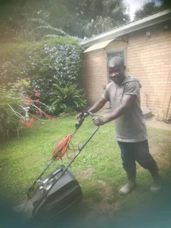 I am looking for job