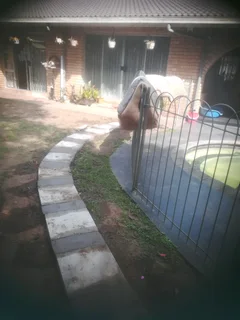 I am looking for job