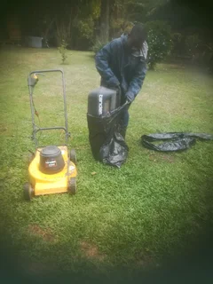 I am looking for job