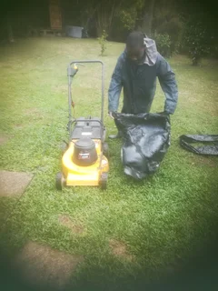 I am looking for job