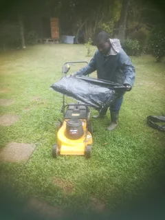 I am looking for job