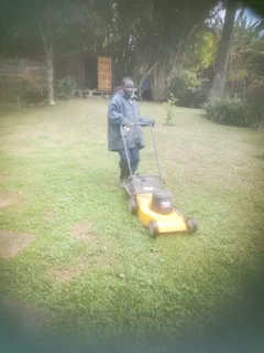 I am looking for job