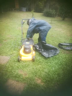 I am looking for job