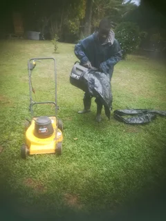 I am looking for job