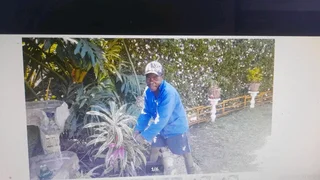 I am looking for job