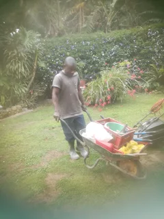 I am looking for job