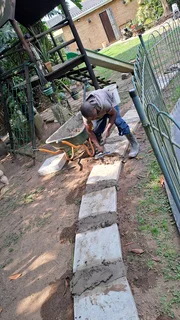 I am looking for job