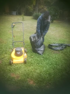 I am looking for job