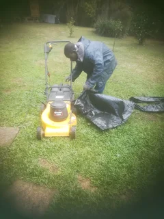 I am looking for job