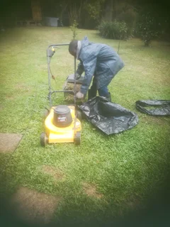 I am looking for job