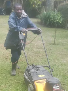 I am looking for job