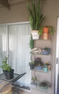 Variety Glass shelving