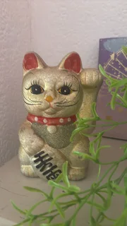 Psychic Tarot Reading Telephone / WhatsApp Any donation welcome