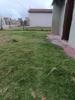 Kwanoxolo house for sale