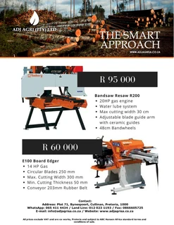 bandsaw resaw E100 edger.