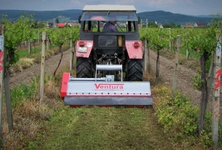 TSF – Forestry Mulcher.