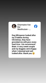 In house/pet/ house sitting