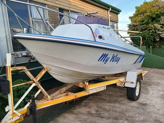 Sea pro 450 boat on breakneck trailer