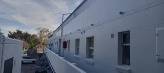 Professional Painting Services - Affordable and Reliable