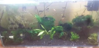 Nikzos Fishroom and accessories