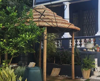 Cape Reed thatch tiles