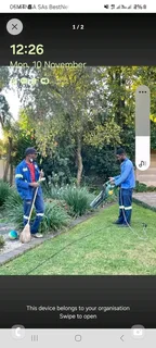 Well Experience Gardener And Painter Available