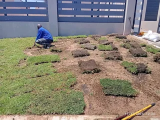 Fit and supply kikuyu grass with top soil