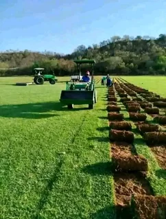 Fit and supply kikuyu grass with top soil