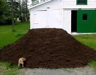 Fit and supply kikuyu grass with top soil