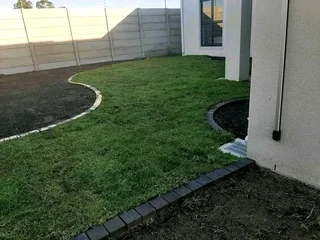 Evergreen kikuyu grass with top soil available