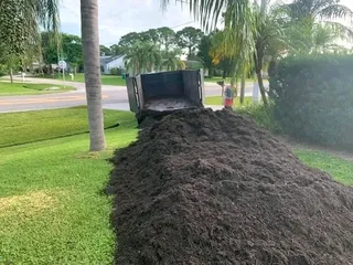 Evergreen kikuyu grass with top soil available