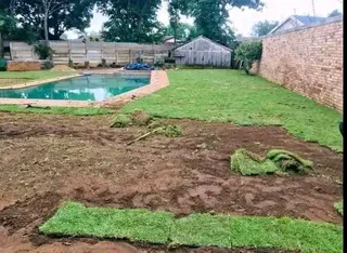 Evergreen kikuyu grass with top soil available