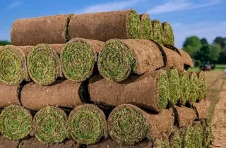 We lnstall grass with compost and topsoil available