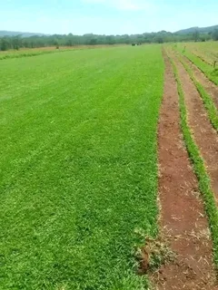 We lnstall grass with compost and topsoil available