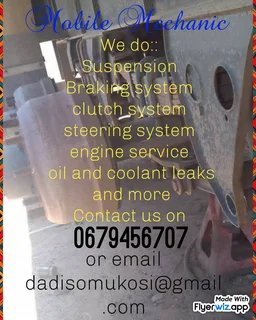 Mobile mechanic service