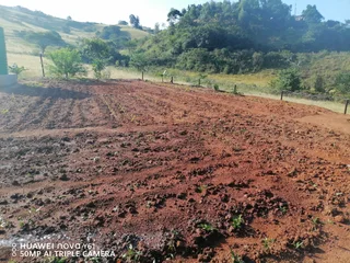 Property - Ad posted by Smangaliso Msimang