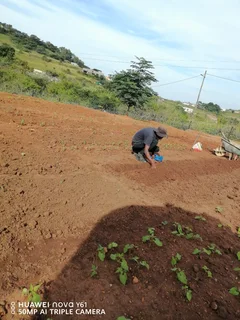 Property - Ad posted by Smangaliso Msimang