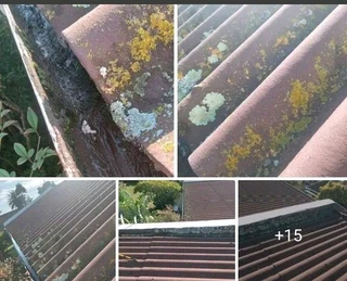 Painting,roadmarkings,waterproofing,gafmazine,pusgon panels ,wallpaper and art