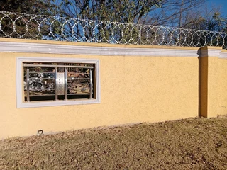 Painting wall and art