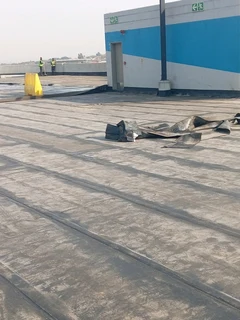 Painting,waterproofing,fiad markings garmazine and art