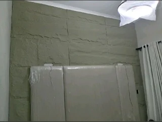 Waterproofing,wallpaper,painting,garmazine,puston panels abd art