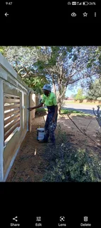 Painting waterproofing road markings garmazine puston Panels and art call 0735353007 for more info