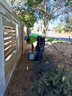 Painting waterproofing road markings garmazine puston Panels and art call 0735353007 for more info