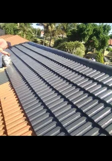 ROOF REPAIRS,CLEANING AND PAINTING.