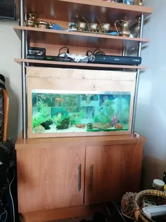 Display Cabinet with Fish Tank